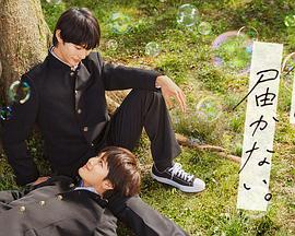 汉中seo优化排名